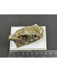 Analcime xls; Horseshoe Dam, AZ, USA; Scab; unique piece
