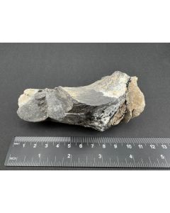 Native Arsenic; Dul 21, Pribram, Czech Republic; Cab; unique piece

