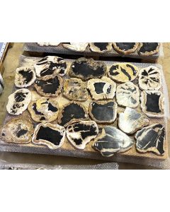 Fossilized (petrified) wood; tree slices, one side polished; Sumatra, Indonesia; 1 pallet with 20 pieces; unique