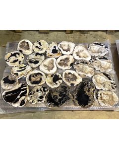 Fossilized (petrified) wood; tree slices, one side polished; Sumatra, Indonesia; 1 pallet with 23 pieces; unique