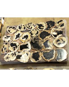 Fossilized (petrified) wood; tree slices, one side polished; Sumatra, Indonesia; 1 pallet with 23 pieces; unique