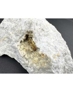 Allanite-(Y) xl; Trimouns, Lucenac, France; Scab; unique piece

