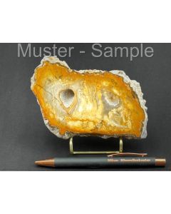 Fossilized (petrified) agate wood; slice; one side polished; with metal stand in gold; Sunrise, Indonesia; 1 piece