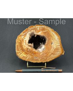 Fossilized (petrified) agate wood; slice; one side polished; with metal stand in gold; black sun; Sumatra, Indonesia; 1 piece