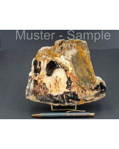 Fossilized (petrified) agate wood; slice; one side polished; with metal stand in gold; volcanic light; Sumatra, Indonesia; 1 piece