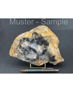Fossilized (petrified) agate wood; slice; one side polished; with metal stand in gold; stormcloud; Sumatra, Indonesia; 1 piece