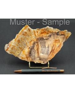 Fossilized (petrified) agate wood; slice; one side polished; with metal stand in gold; desert wind; Sumatra, Indonesia; 1 piece