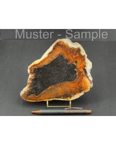 Fossilized (petrified) agate wood; slice; one side polished; with metal stand in gold; magma; Sumatra, Indonesia; 1 piece