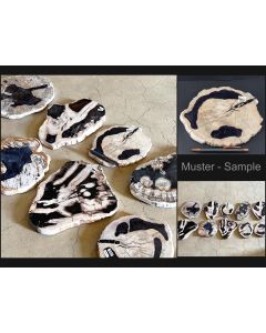 Fossiles (versteinertes) Holz; Baumscheiben, einseitig poliert; Sumatra, Indonesien; 10 Stück