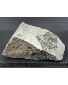 Hedenbergit-Ader in Porphyr; Calumet Mine, CO, USA; GS; Einzelstück