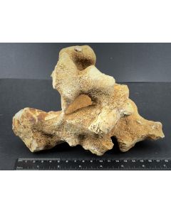 Quarzit; Bristol Silver Mine, UT, USA; HS; Einzelstück