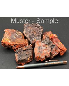 Fossilized (petrified) wood; red, multicolored; Posey Mine, Utah, USA; 1 kg