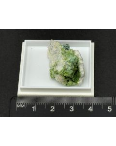 Arthurite xls (Top!); Majuba Hill, NV, USA; TN; unique piece
