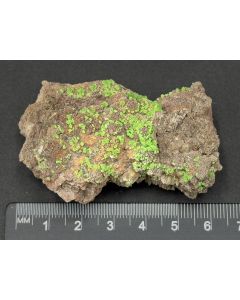 Cuproaustinit xx; Hilarion Mine, Laurion, Griechenland; KS; Einzelstück