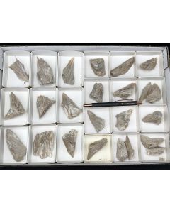 Probertit; Kern County, Kalifornien, USA; 1 Steige; Unikat