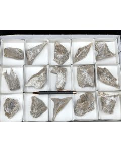 Probertit; Kern County, Kalifornien, USA; 1 Steige; Unikat