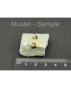 Pyrite xls, "Iron Cross" twins on matrix; Extertal, Lippe, Germany; Min