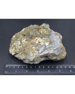 Pyrite xls; Java (Central Java), Indonesia; unique piece