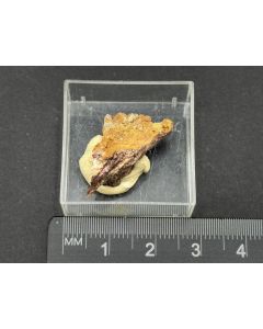 Arsenocrandallit xx; Grube Clara, Schwarzwald, Deutschland; MM; Einzelstück