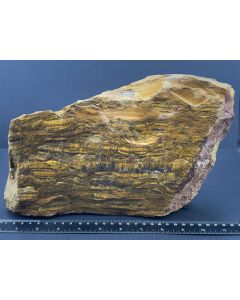 Tigerauge; Südafrika; Einzelstück