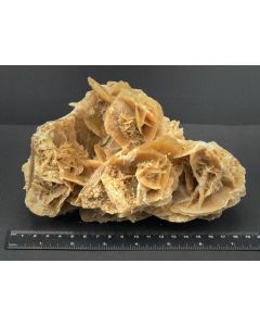 Sandrose; Tunesien; 1,5 kg; Einzelstück