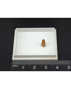 Bahianit; Bahia, Brasilien; MM; Einzelstück