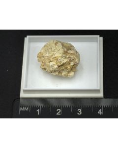 Bukovskyit; Kank, Kutna Hora, Tschechische Republik; KS; Einzelstück