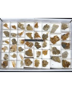 Gips, Selenit xx; Mäusetal, Sondershausen, Thüringen, Deutschland; 1 Steige; Unikat