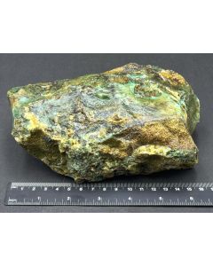 Fossiles (versteinertes) Holz mit Calcedon; grün; Indonesien; Einzelstück