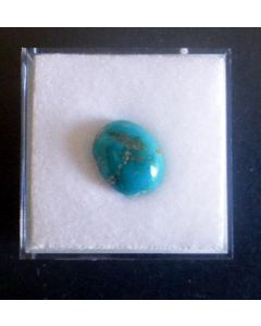 Türkis Cabochon 10 mm, AZ, USA