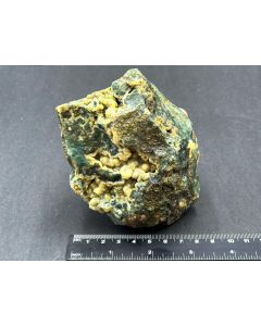 Fossiles (versteinertes) Holz mit Calcedon; grün; Indonesien; Einzelstück