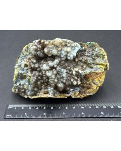 Fossiles (versteinertes) Holz mit Calcedon; grün; Indonesien; Einzelstück