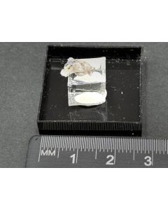 Trechmannit, Realgar xx; Grube Lengenbach, Binntal, Wallis, Schweiz; MM; Einzelstück