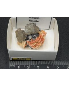 Cerussit, Baryt, Galenit xx; Mibladen, Marokko; KS; Einzelstück