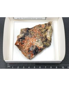 Whitlockite xls; Tip Top Mine, South Dakota, USA; Gerd Tremmel collection; Scab; unique piece
