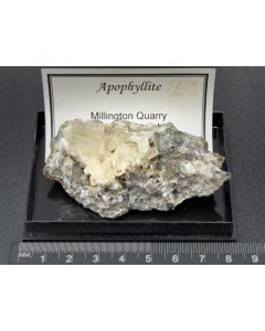 Apophyllite xls; Millington Quarry, NJ, USA; Gerd Tremmel collection; Scab; unique piece
