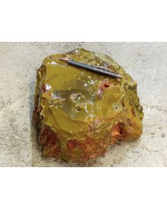 Fossilized (petrified) wood; Indonesia; 10 kg; unique piece
