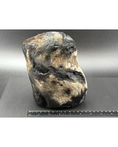 Fossiles (versteinertes) Holz; Garut, Java, Indonesien; 4,98 kg; Einzelstück