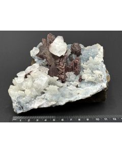 Heulandit, Apopyhllit xx; Poona, Indien; Gerd Tremmel Sammlung; HS; Einzelstück