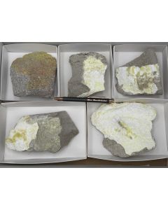 Metamunirit, Phurcalit xx; Utah, USA; 1 Steige; Unikat