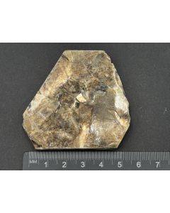 Phlogopit xx; Madagaskar; Gerd Tremmel Sammlung; KS; Einzelstück