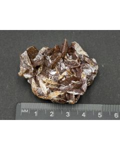 Wulfenit xx; Tsumeb Mine, Otaviberge, Namibia; KS; Einzelstück