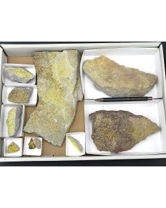 Phurcalit xx, UV-aktiv; Posey Mine, UT, USA; 1 Steige; Unikat