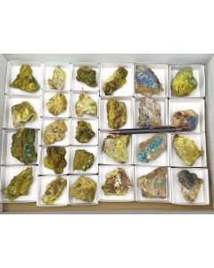 Philipsbornit, Osarizawait xx; Grandview Mine, Grand Canyon, AZ, USA; 1 Steige; Unikat