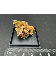 Auripigment xx; Shimen Mine, Changde, Hunan Province, China; KS; Einzelstück