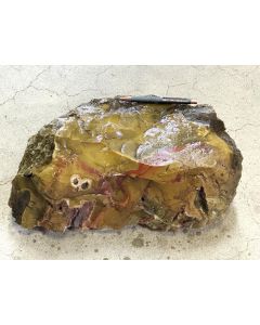 Fossilized (petrified) wood; Garut, Java, Indonesia; 21.6 kg; unique piece
