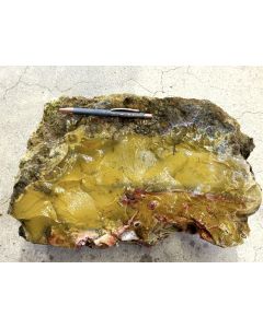 Fossilized (petrified) wood; Garut, Java, Indonesia; 23.4 kg; unique piece
