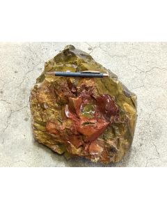 Fossilized (petrified) wood; Garut, Java, Indonesia; 10.2 kg; unique piece
