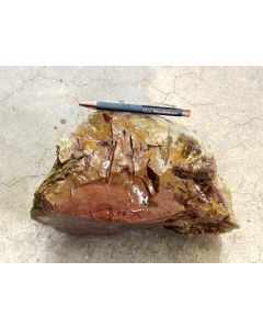 Fossilized (petrified) wood; Garut, Java, Indonesia; 16.5 kg; unique piece
