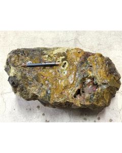 Fossilized (petrified) wood; Garut, Java, Indonesia; 31 kg; unique piece
